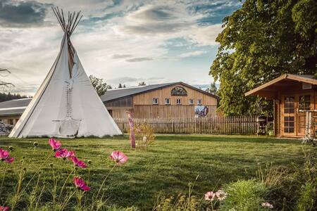 Ranchhouse Bubble - Westernstable - Horse