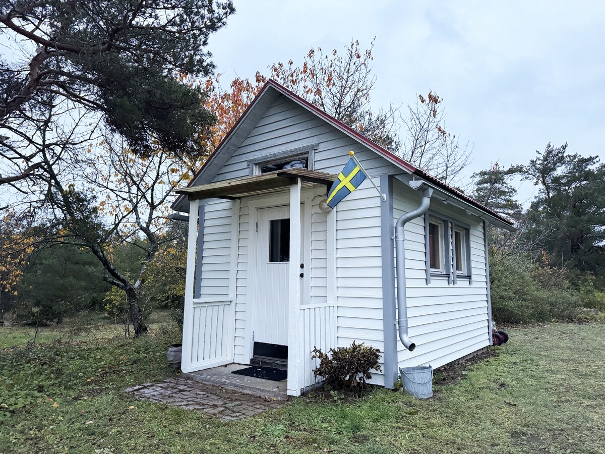 Cozy little cottage in the middle of Gotland near