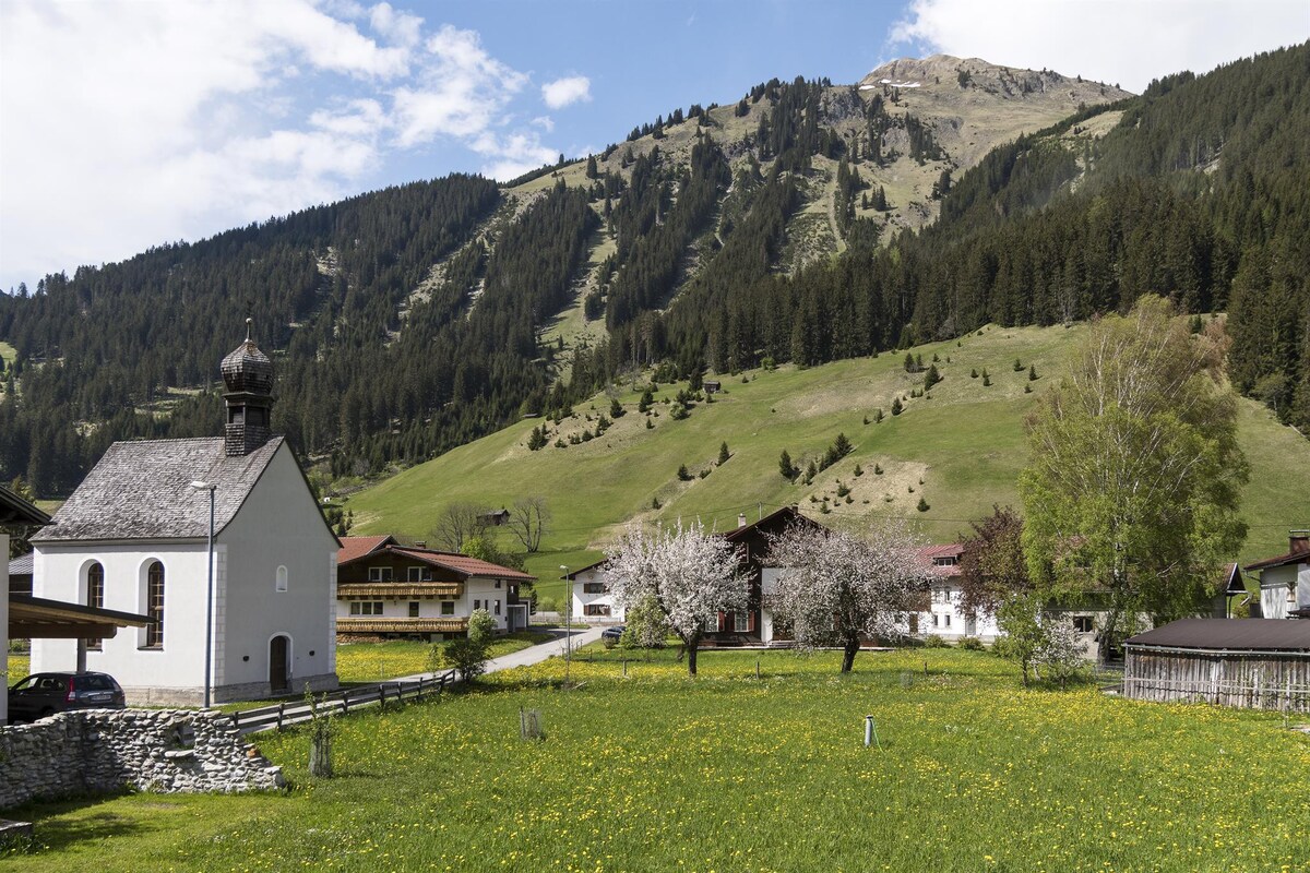 Komfortable Wohnung mit Blick  in die Berge