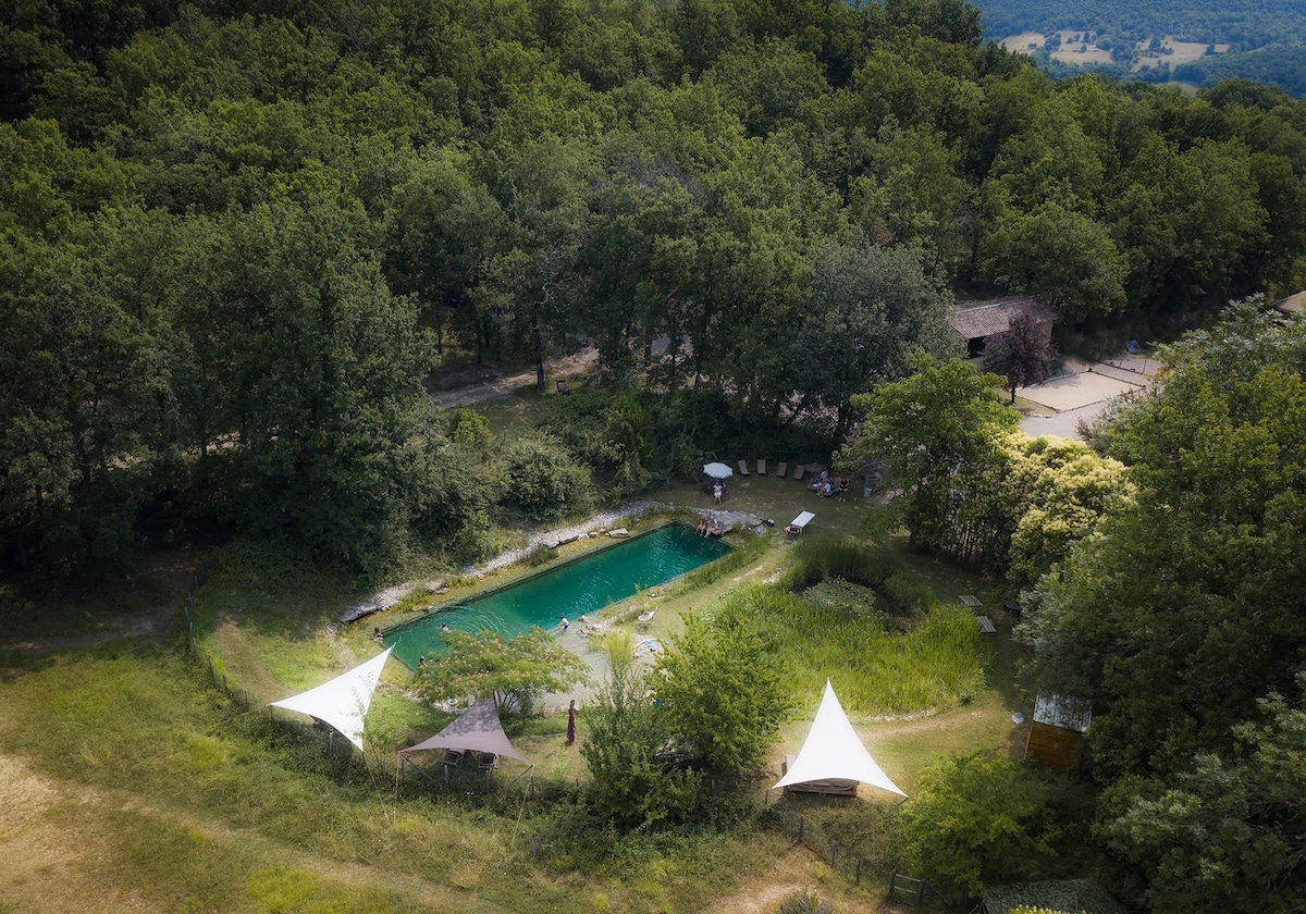 Luxury safari hideaway with idyllic natural pool