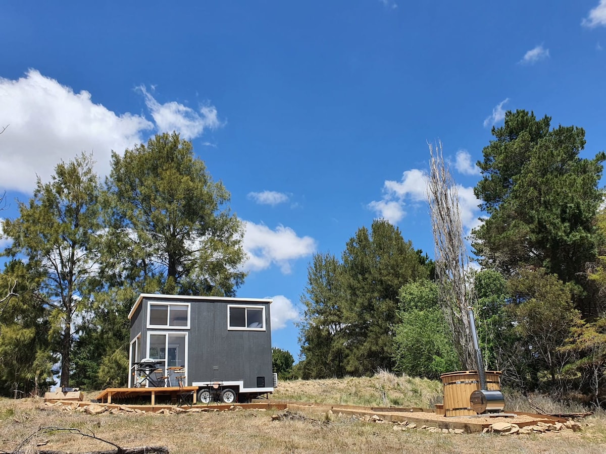 Red Gum at Aranya Acres