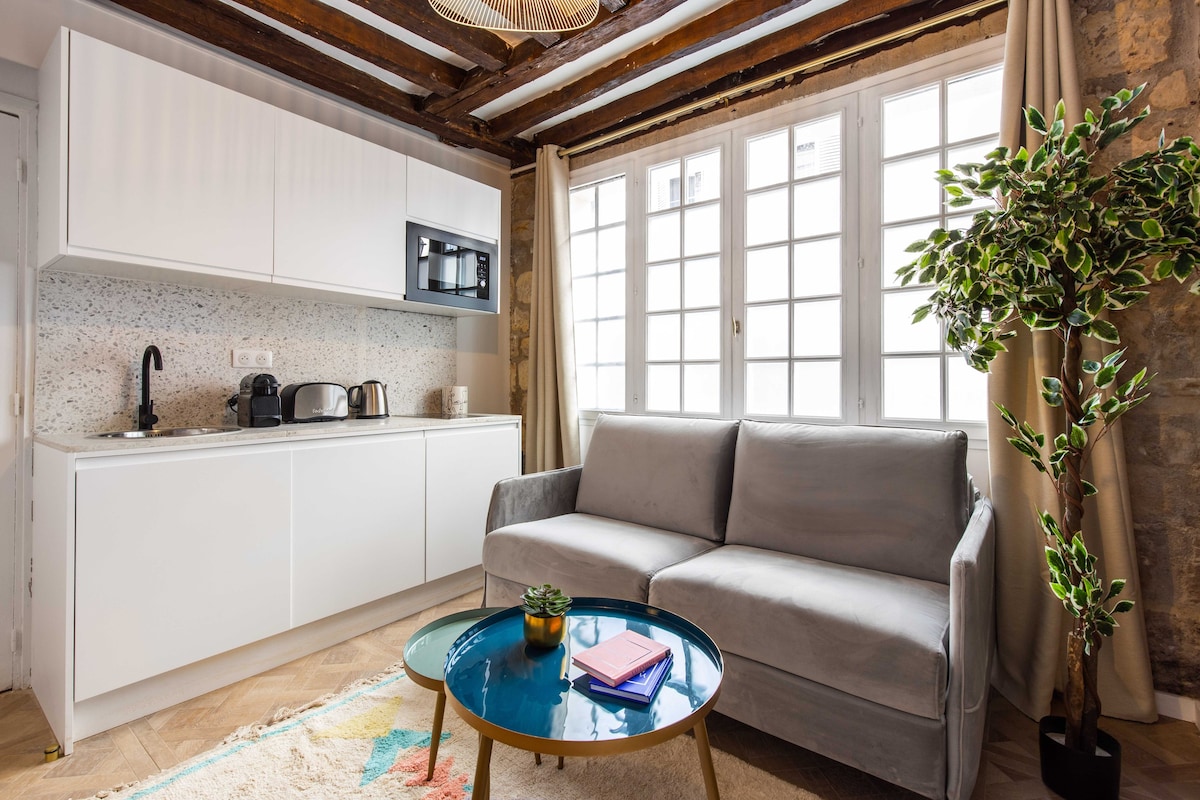 Chic, comfortable flat near rue Montmartre