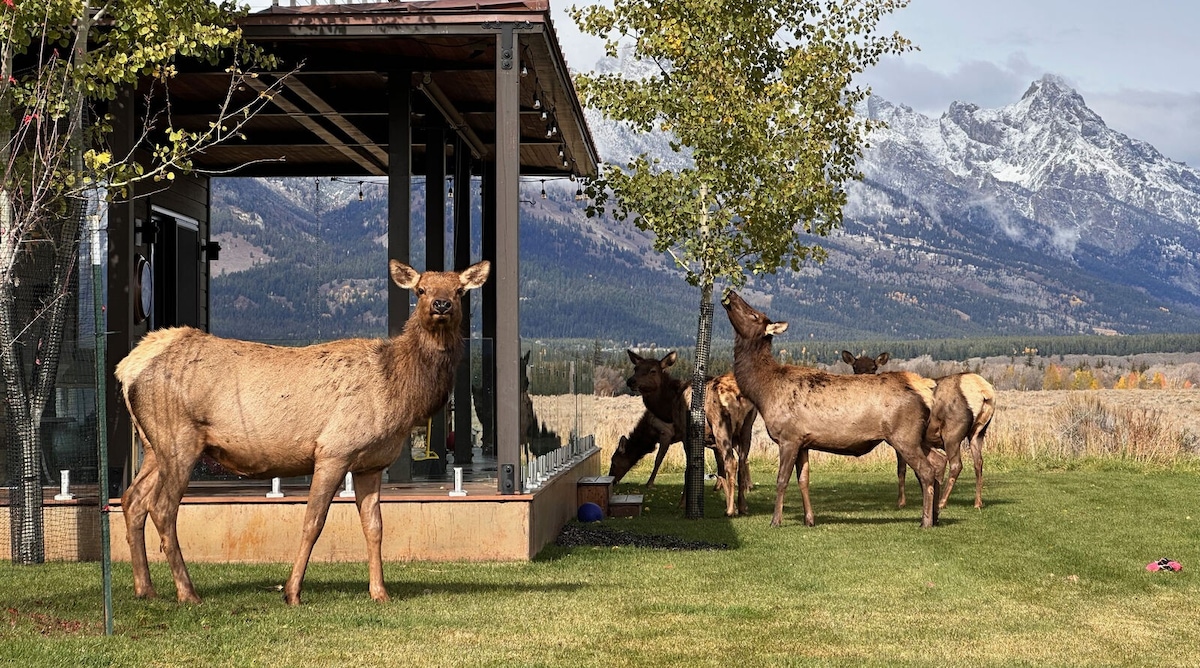 Abode at Cosmic Teton