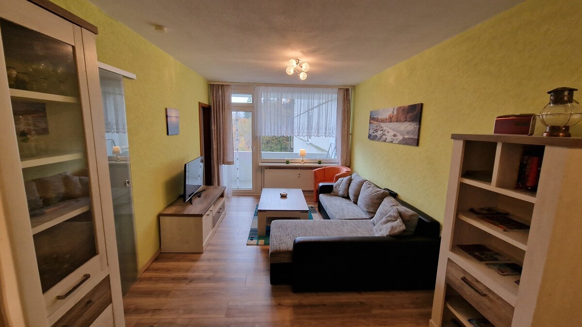 位于Goslar-Hahnenklee的公寓/公寓，可容纳4位房客，面积为49平方米（ 245518 ）