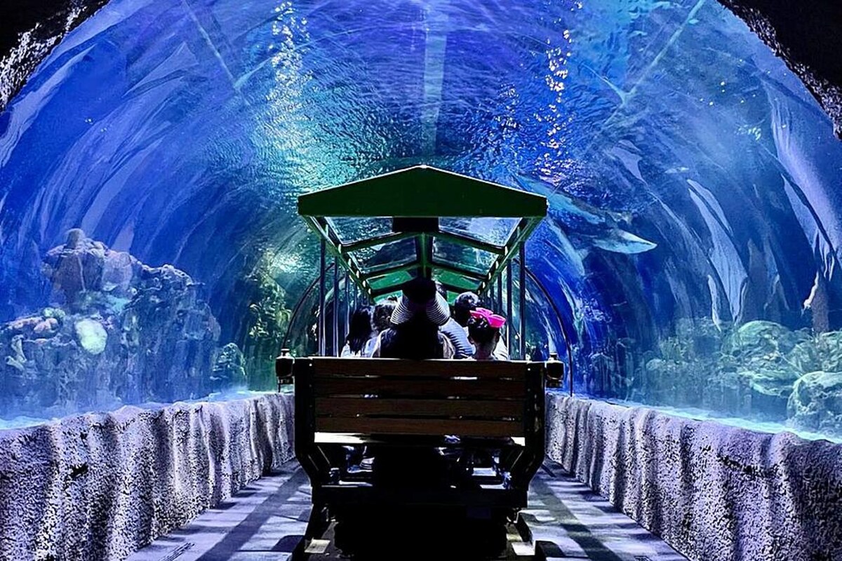 Amazing Trip | Aquarium. Free Parking