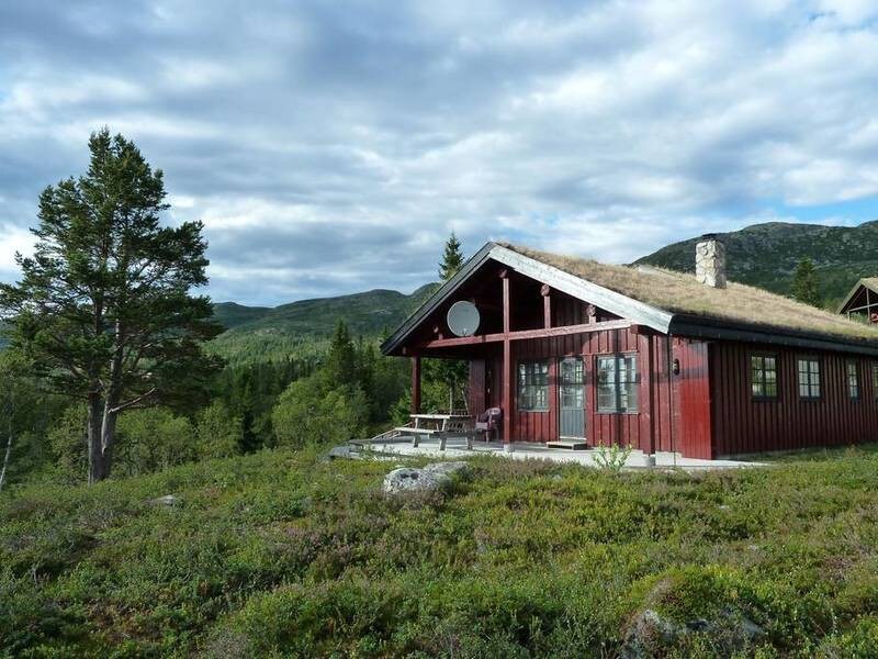 Furulie in the Vassfaret mountain area - Flå