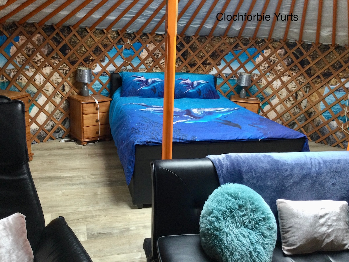 Colourful Mongolian Yurt, enjoy a new experience