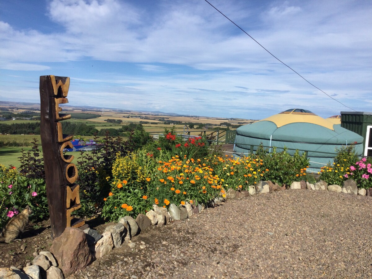 Colourful Mongolian Yurt, enjoy a new experience