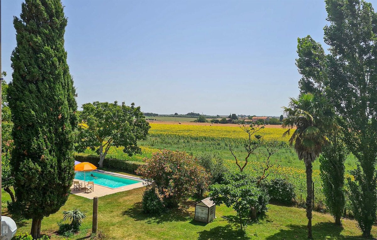 Lovely home in Canino with outdoor swimming pool