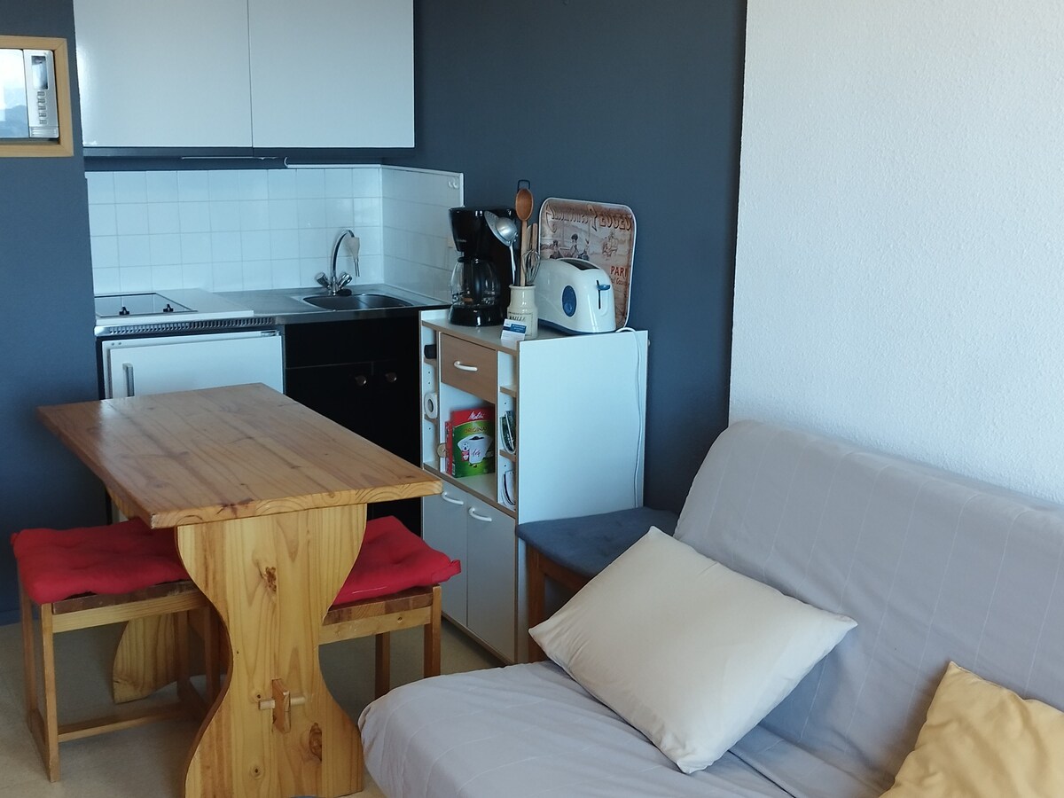 单间公寓Les Adrets-Prapoutel ，公寓单间公寓，可容纳3人。