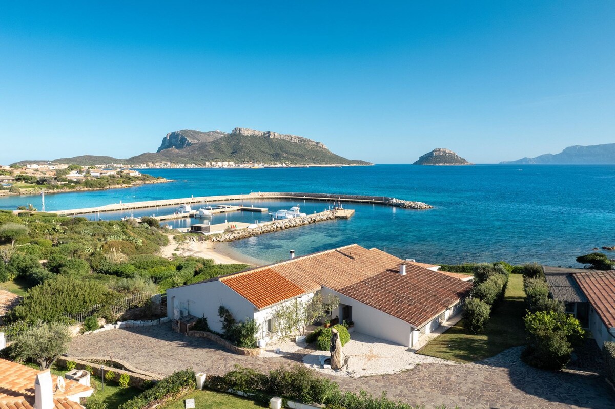 Enchanting Seafront Villa in Baia Caddinas