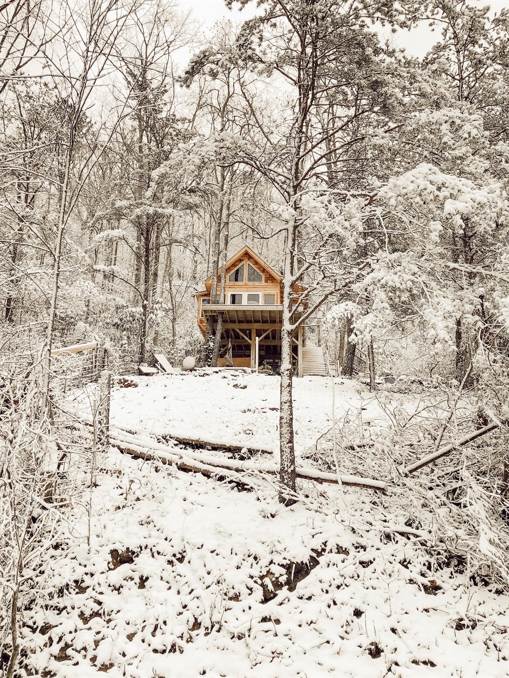 Flowertown Charm Off-Grid Treehouse