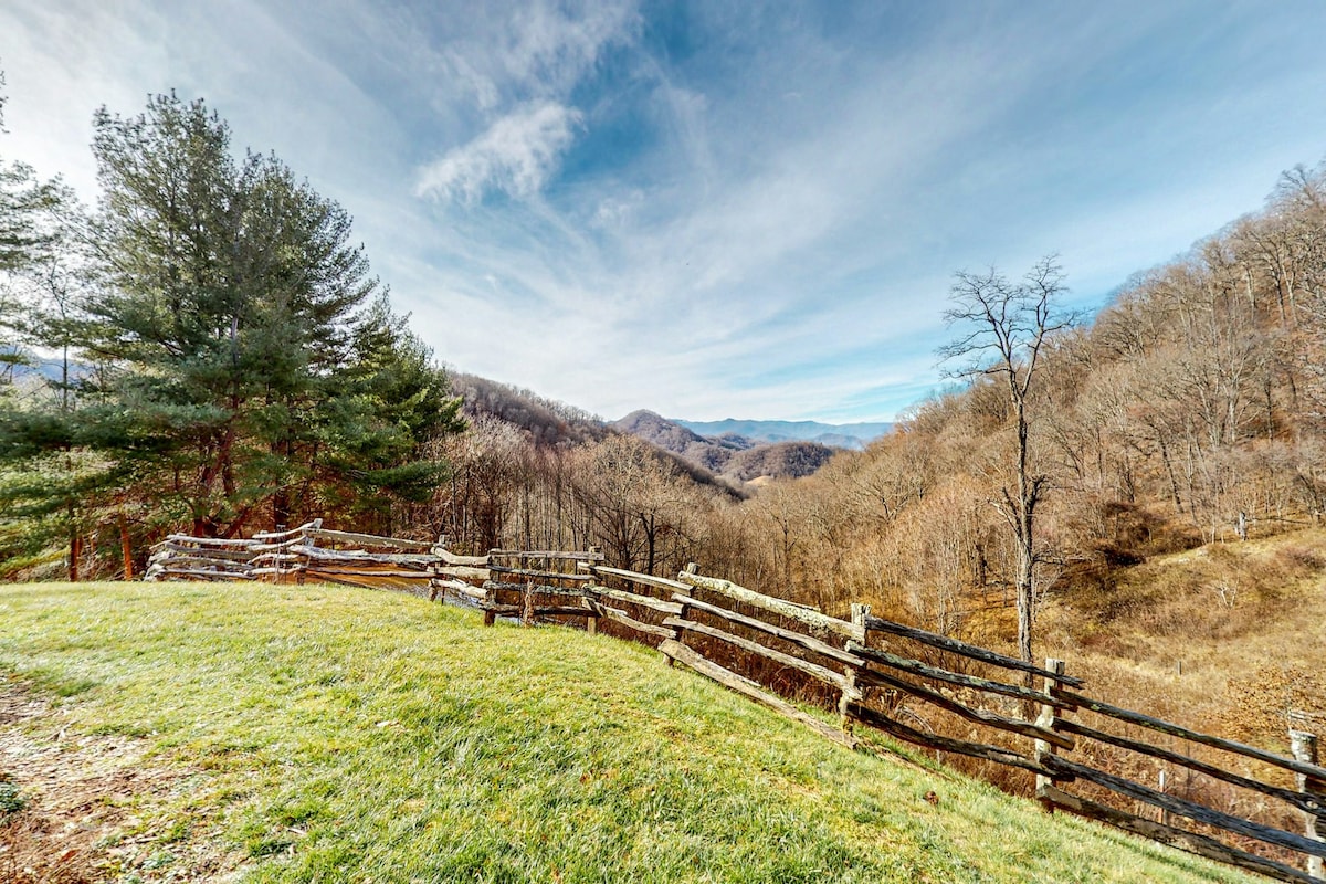 Dog-friendly cabin with mtn views & wood fireplace