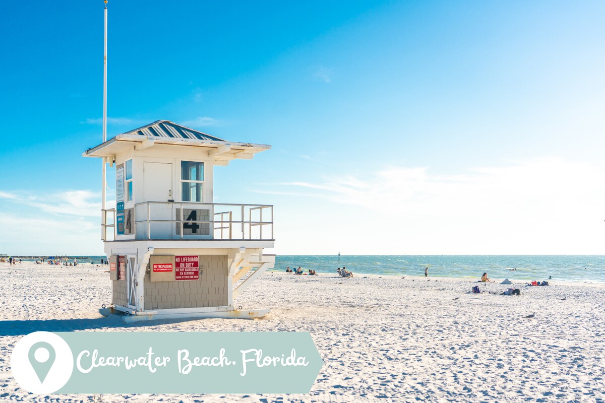 Indigo Beach Oasis - Minutes to Clearwater Beach!