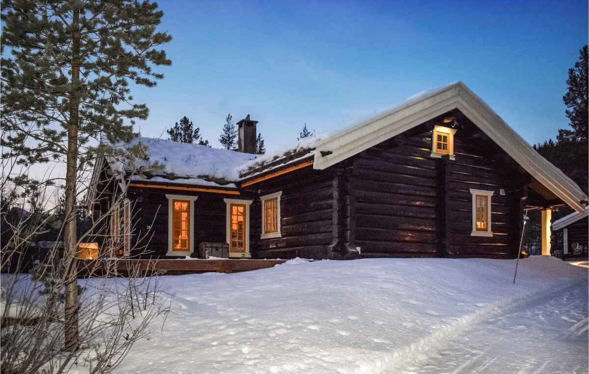 Awesome home in Hemsedal with kitchen