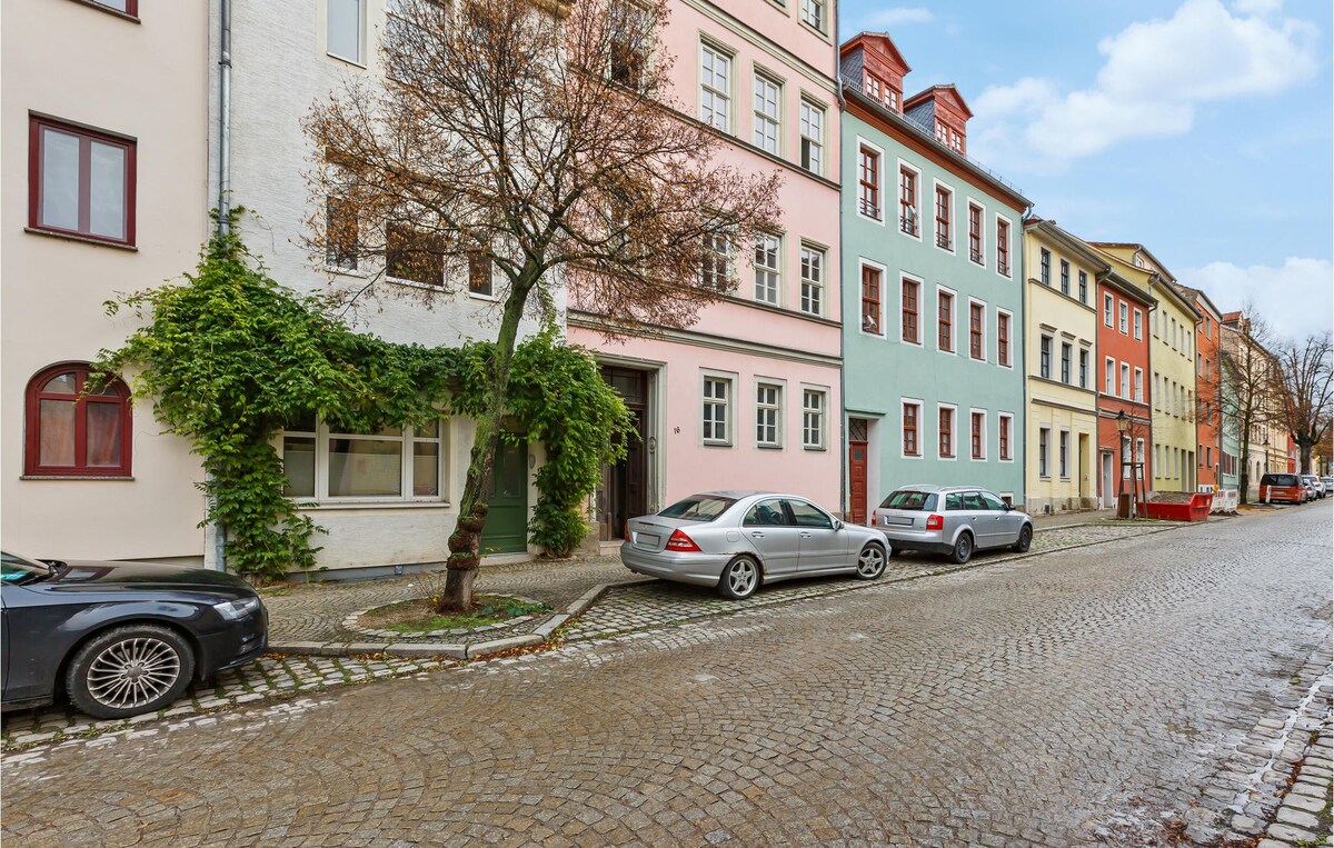 Pet friendly apartment in Naumburg with kitchen