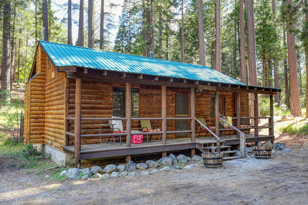 Ponderosa - Rustic Log Cabin