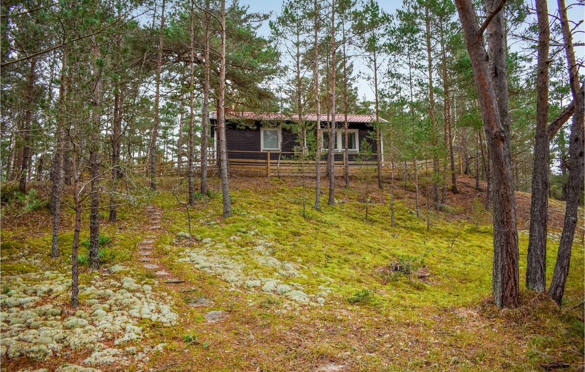 Awesome home in Yngsjö with house a panoramic view