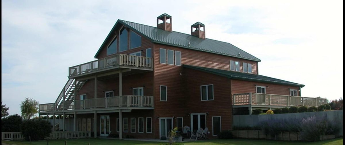 See Bison and Elk from The Dove Room