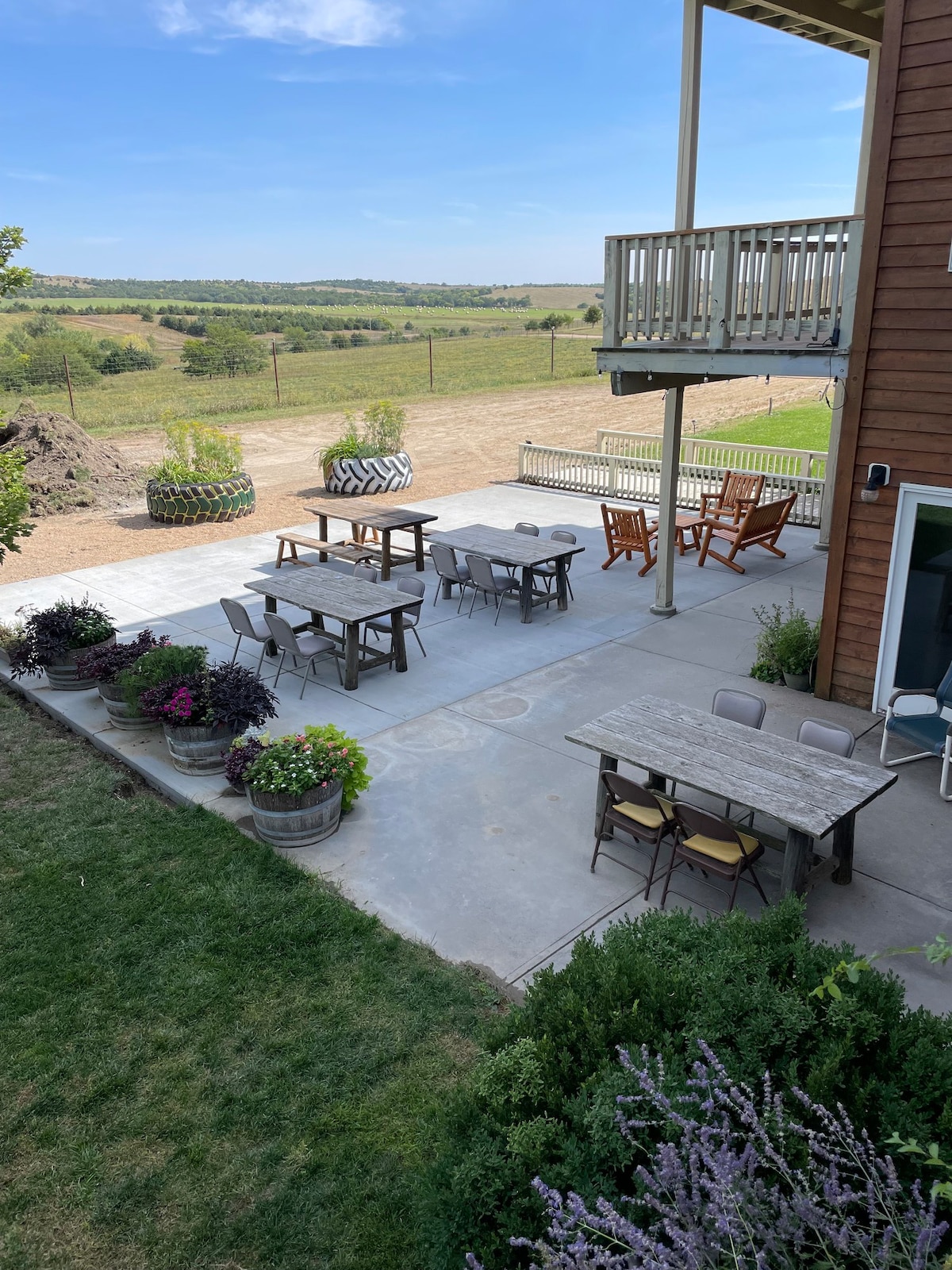 See Bison and Elk from The Dove Room