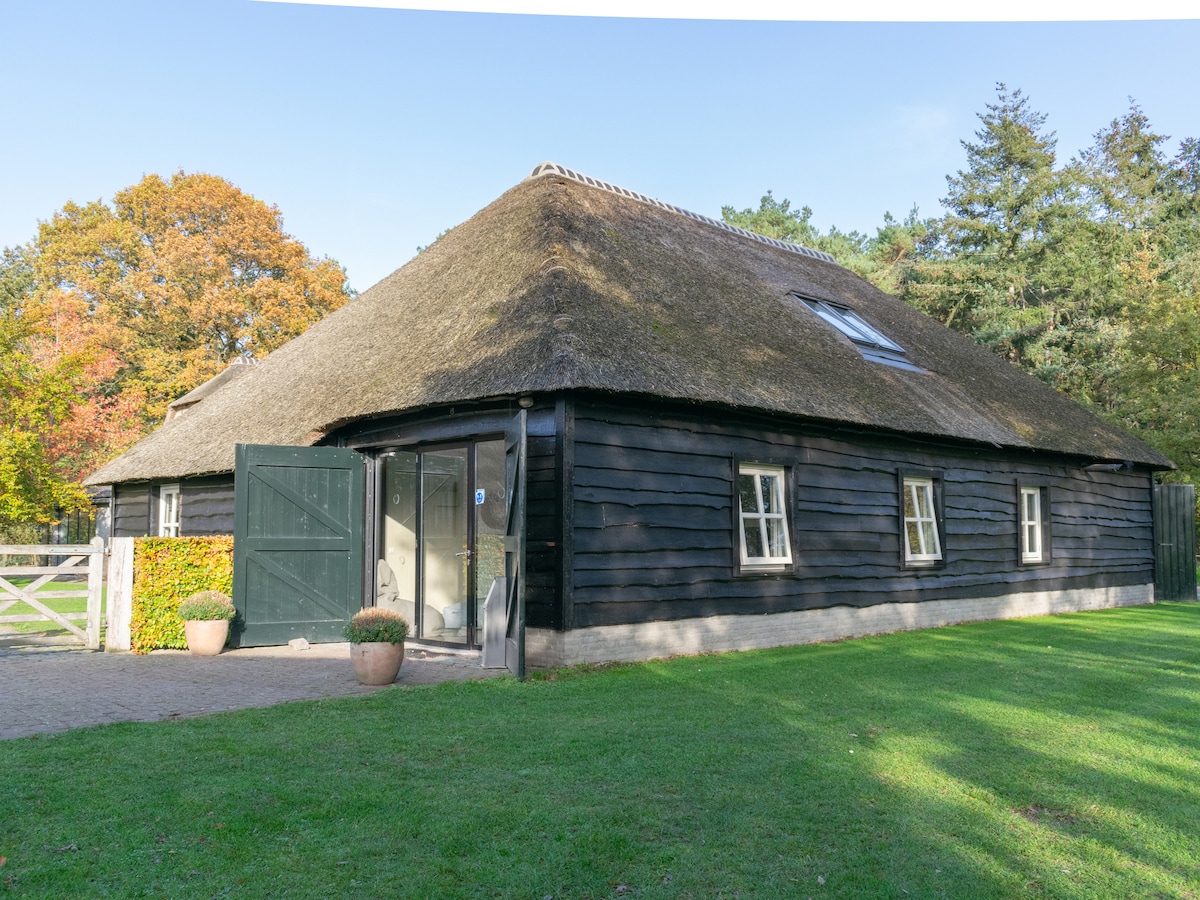 Cosy holiday home at the edge of the forest