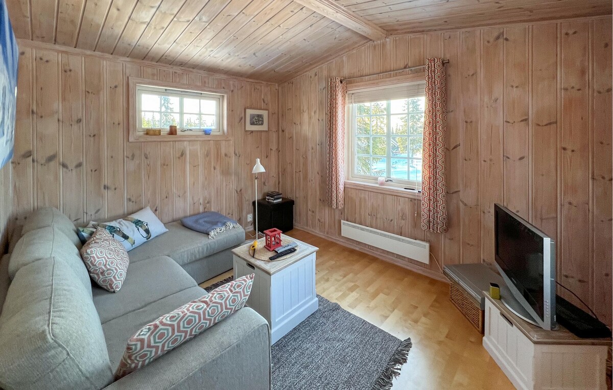 位于Sjusjøen的4卧室房源