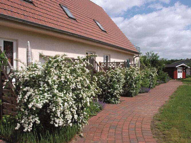 Holiday apartment in the Mecklenburg Lake District