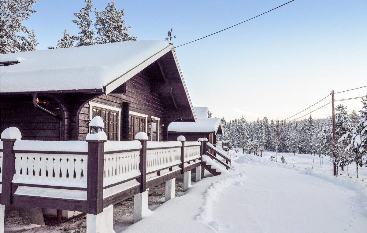 Beautiful home in Sälen with house a mountain view