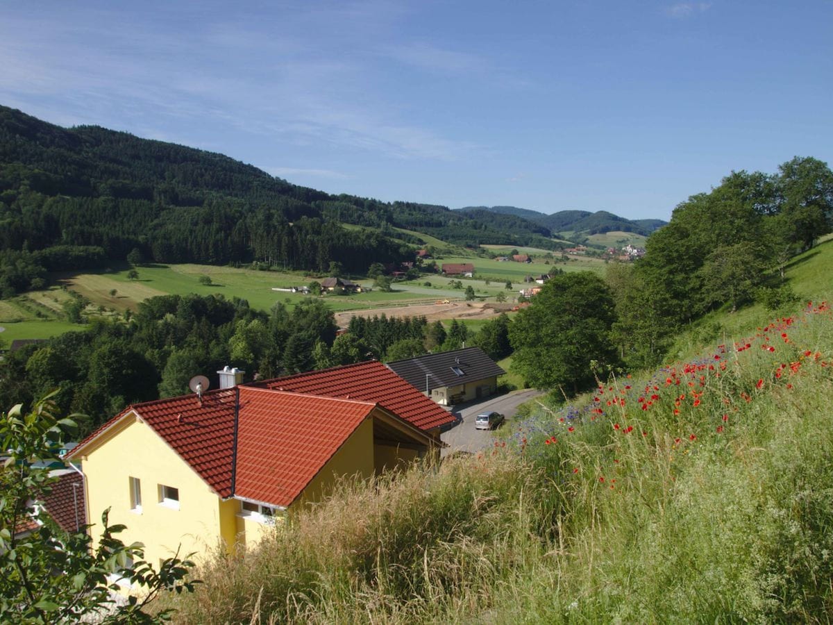 Ferienwohnung Rebenrain ， 80平方米