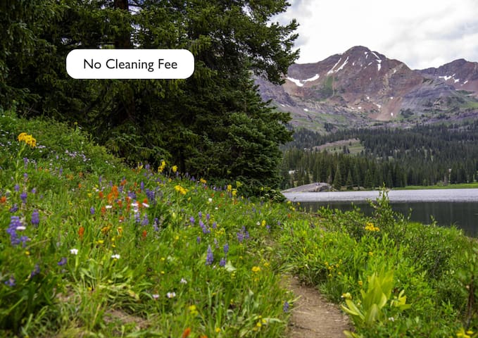 克雷斯特德比特(Crested Butte)的民宿