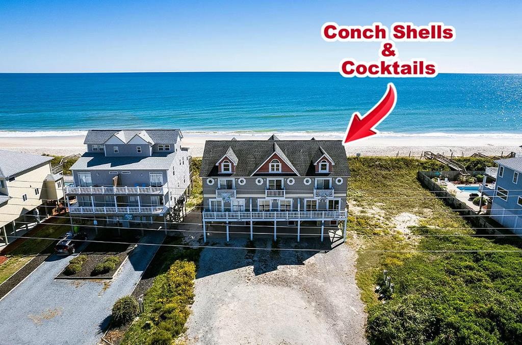 'Conch Shells & Cocktails