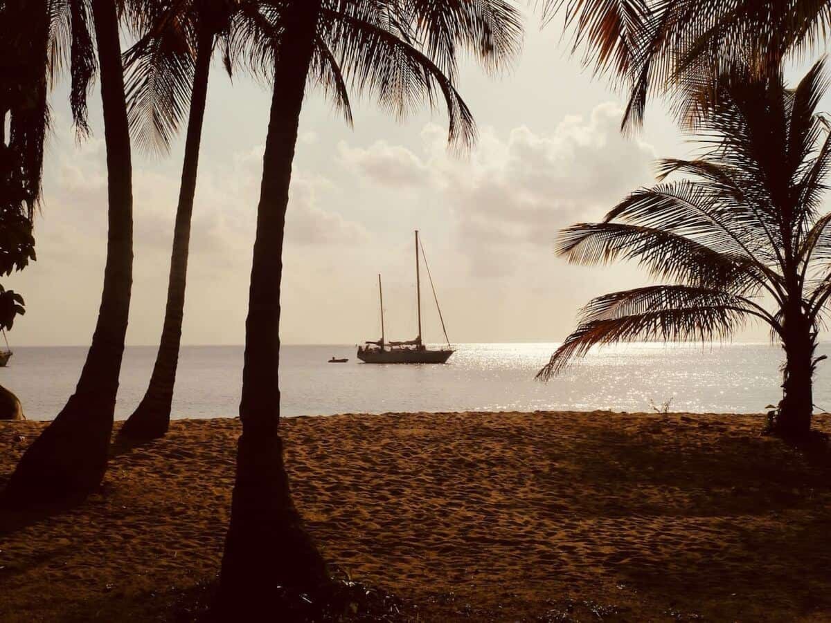 Caribbean Experience | Sailing. Restaurant