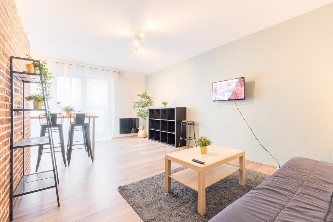 Fully-equipped apartment near the center of Lille