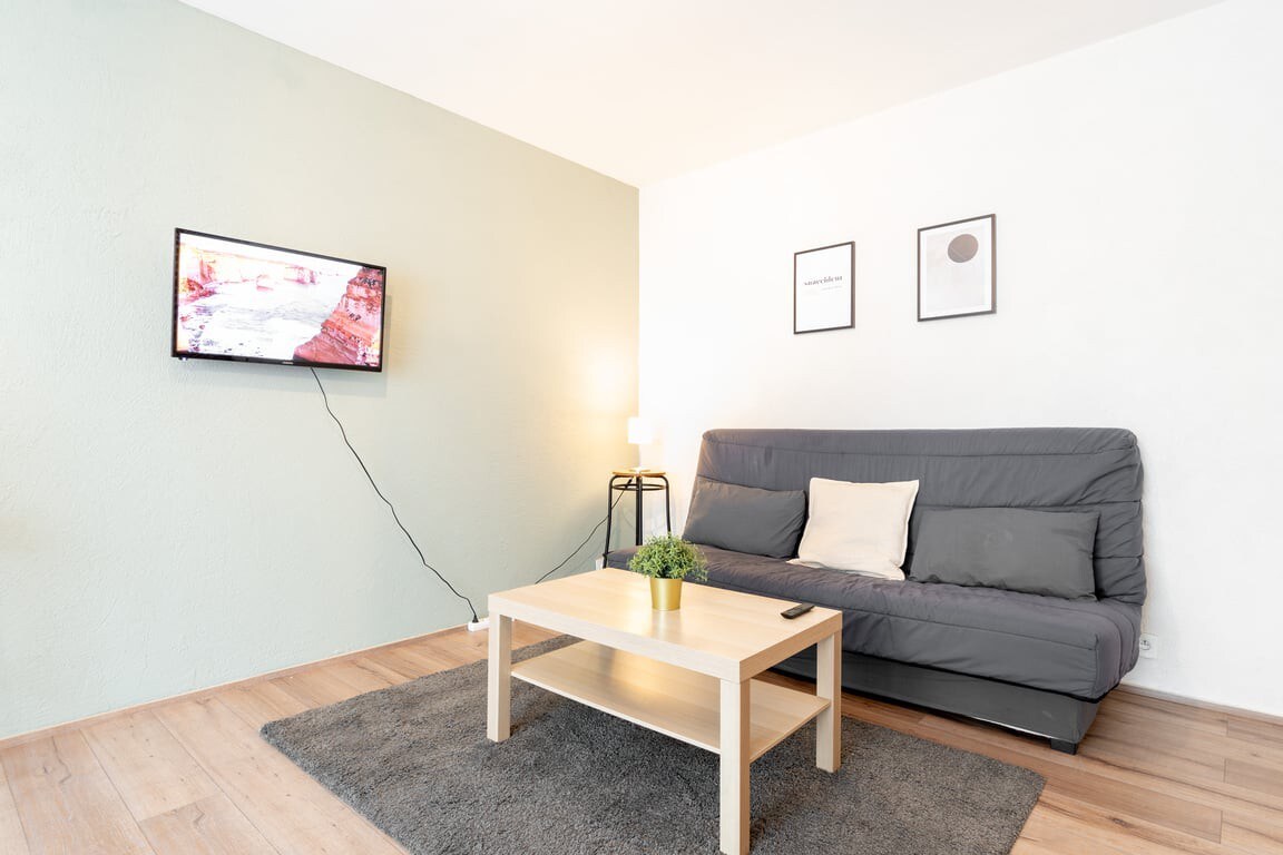 Fully-equipped apartment near the center of Lille