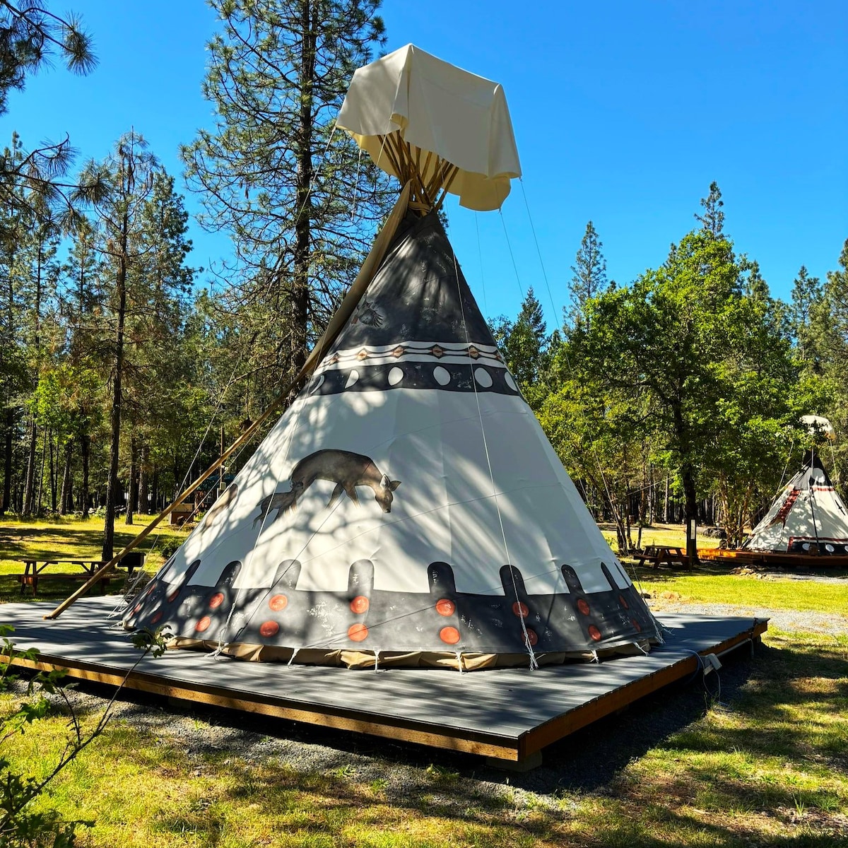 Buck and Does Tipi - 20' - Sleeps up to 4