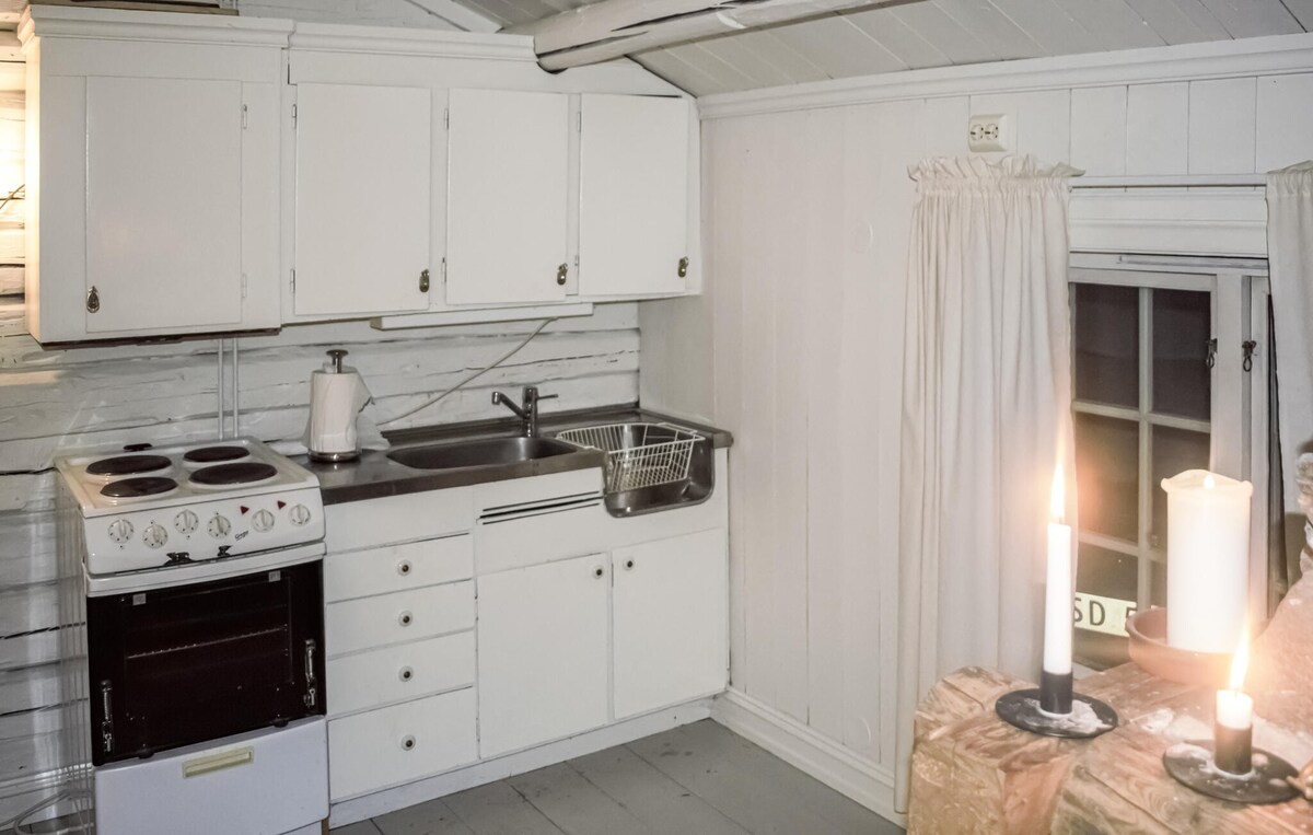 Pet friendly home in Røros with kitchen