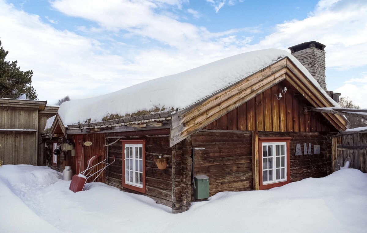 Pet friendly home in Røros with kitchen