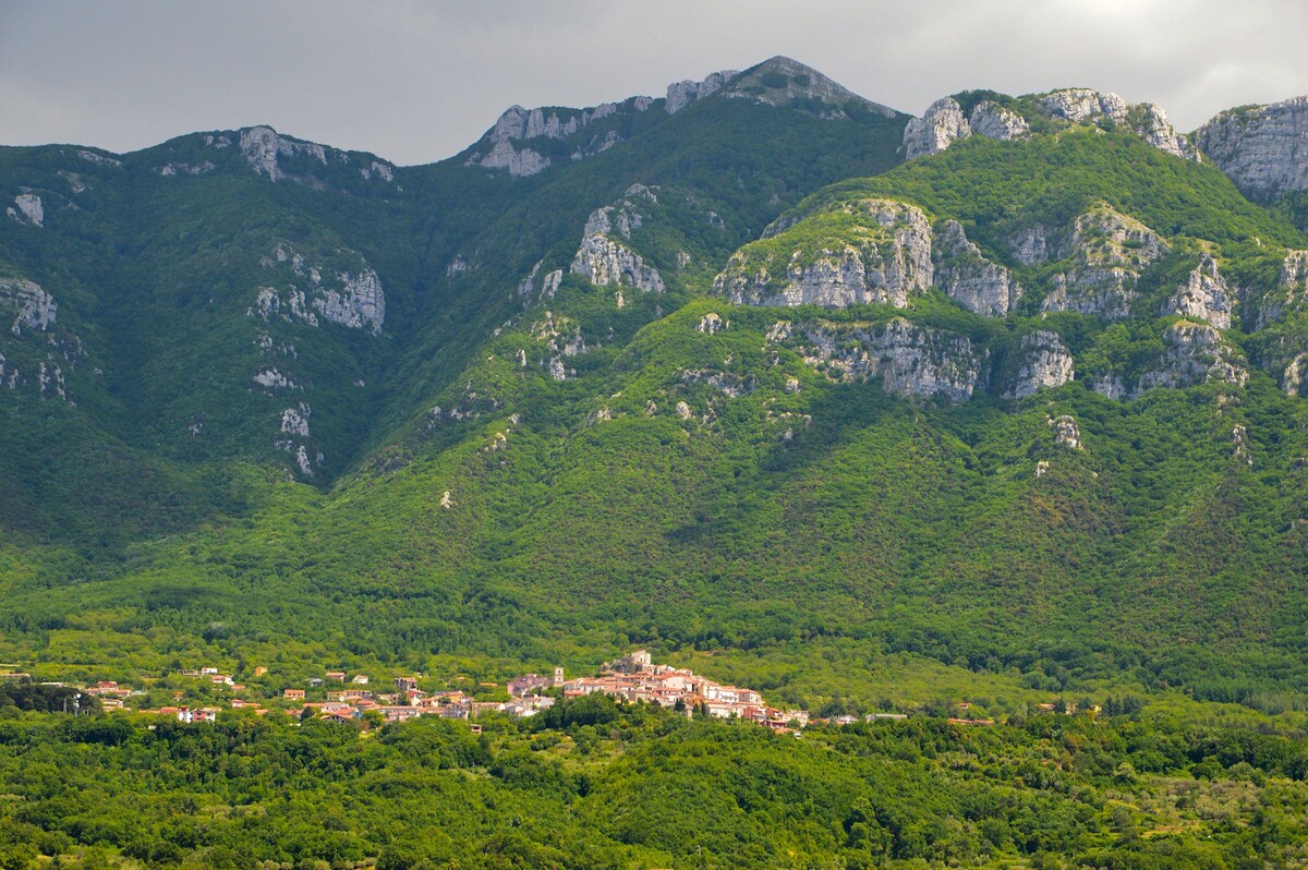 Historic restored Palazzo Maratea  apartment