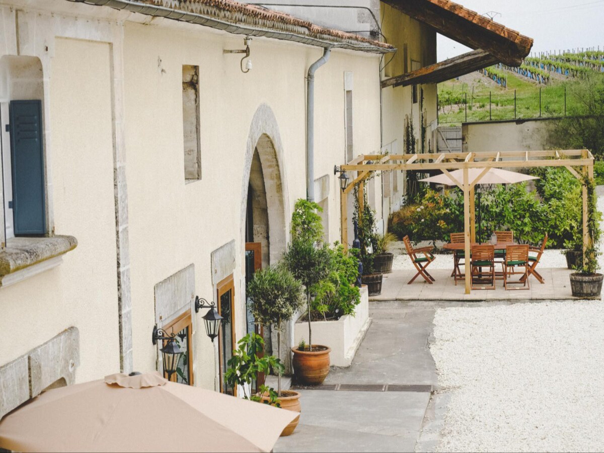 Paradis Des Vignes - Vineyard Cottages