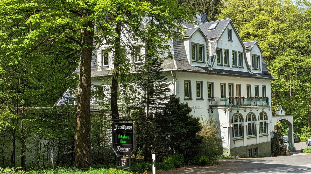 Einzelzimmer Standard (Naturhotel Forsthaus)