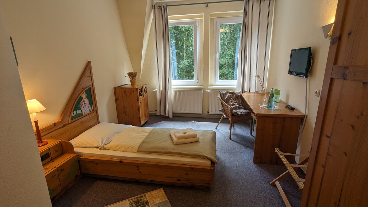 Einzelzimmer Standard (Naturhotel Forsthaus)