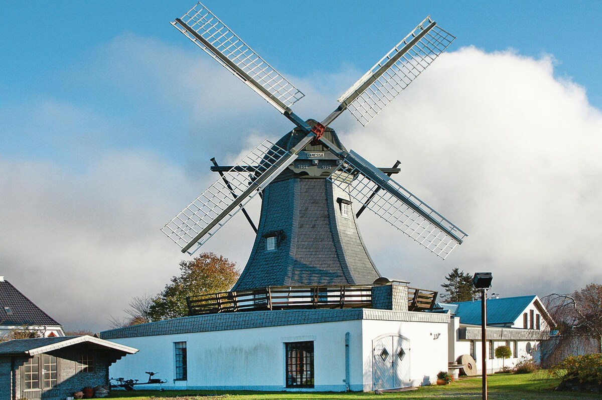 Mill in Medelby