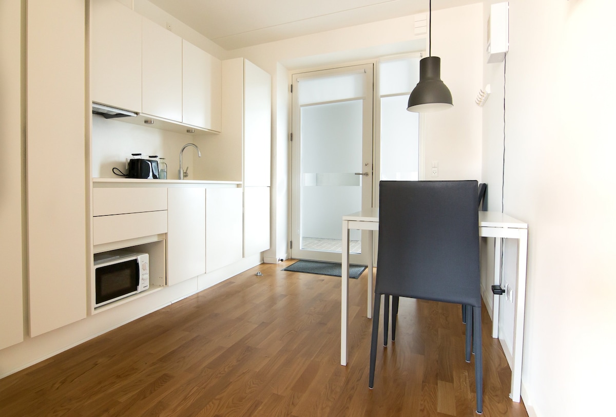 New studio apartment in Amager at Robert