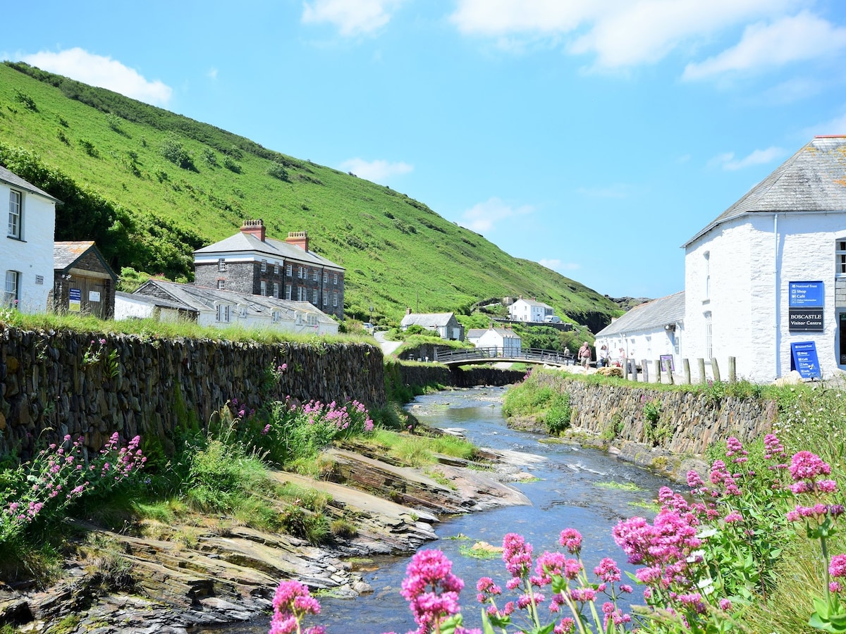 3 Bed in Boscastle (75145)