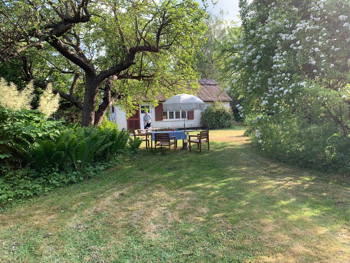 Charming thatched-roof cottage from 1947