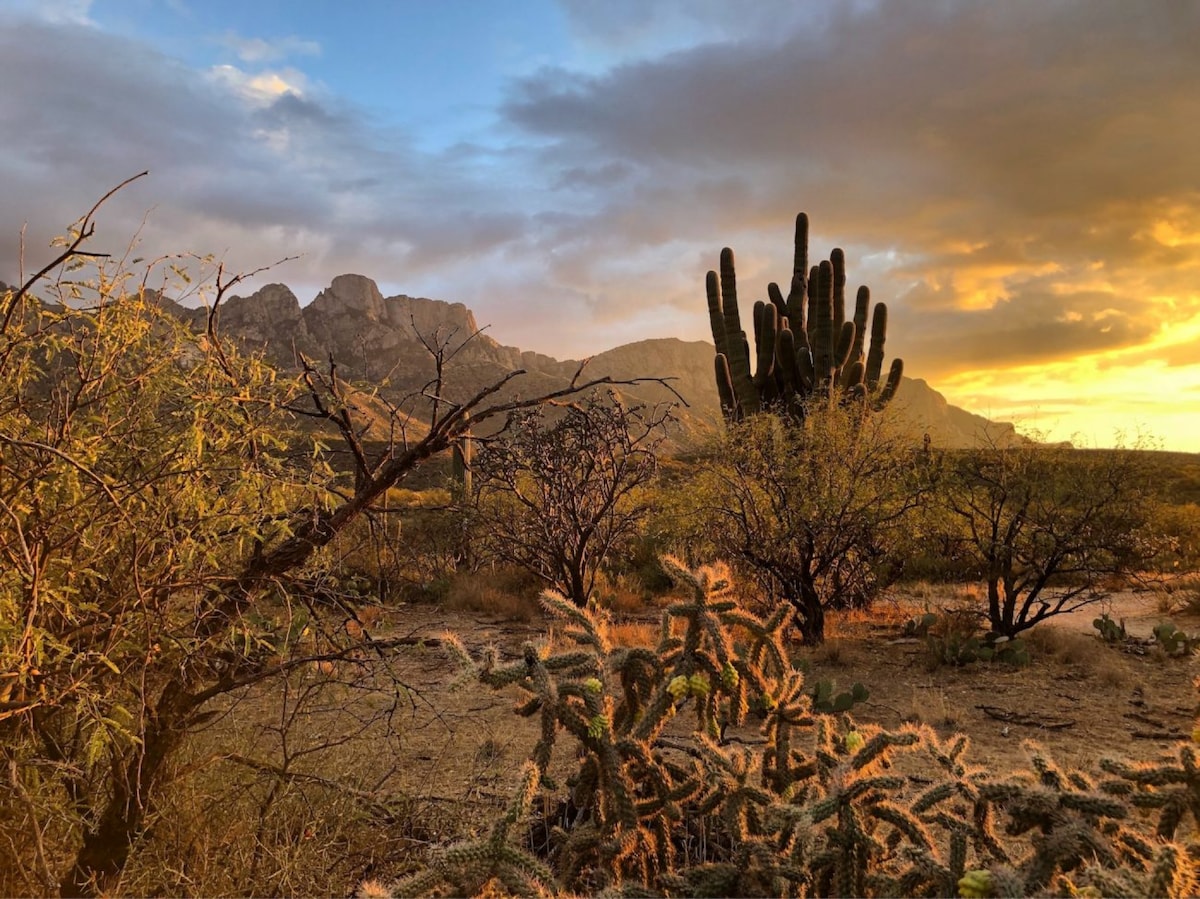 Sonoran Desert Escape | Labyrinth & Gardens