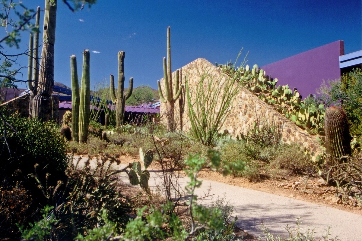 Sonoran Desert Escape | Labyrinth & Gardens