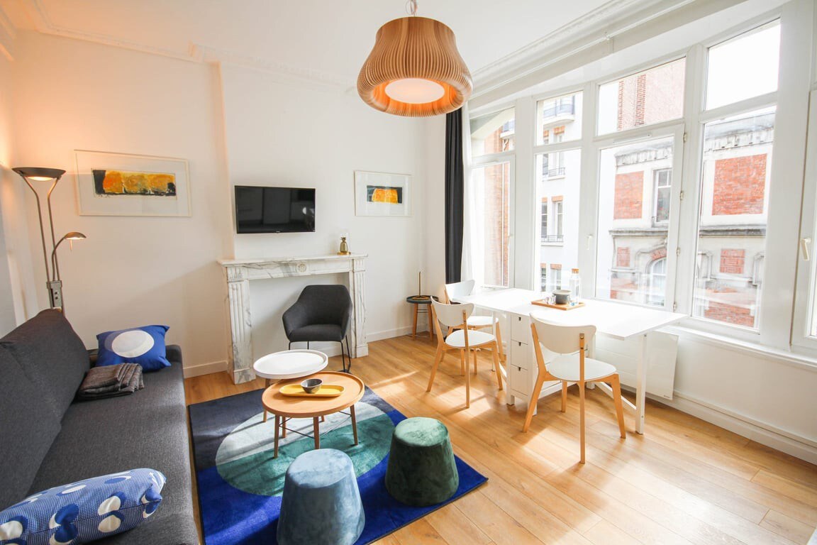 Lille Centre bright apartment - Test/Don't Book