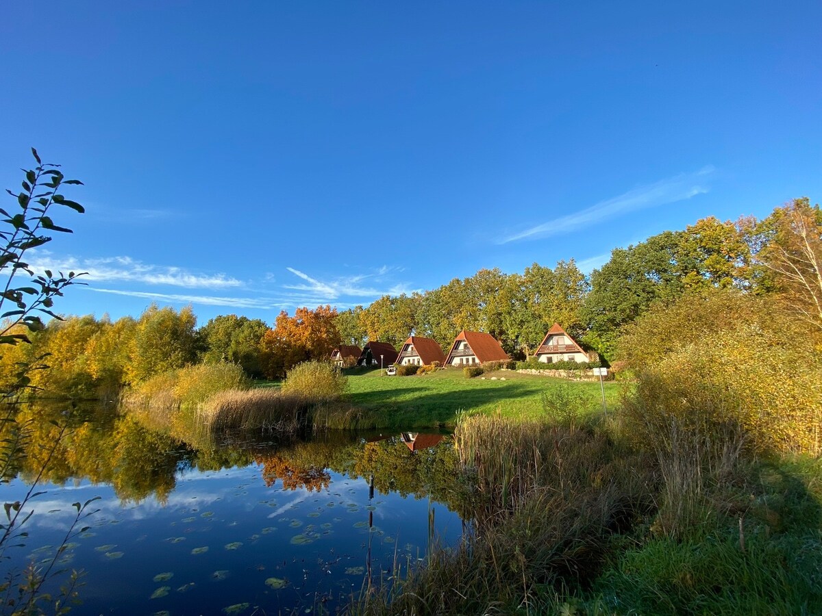 Finnhäuser am Vogelpark - Haus Brigitte (117272)