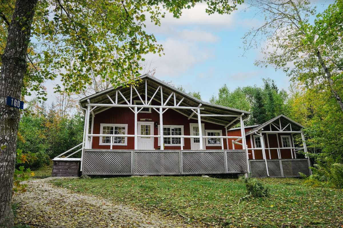 Beach Cottage - White Birches